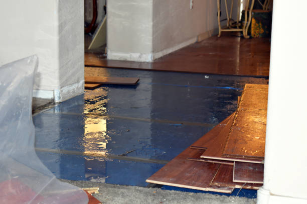Professional Burst Pipe Cleanup technician working in Hebron, MD